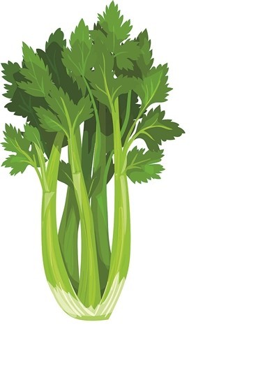 这五种常见食物 竟是天然降压药 