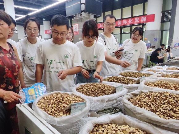 2.图为实践队员在康美中药城摊位前辨识中药材并询问行情。刘旺 供图.jpg